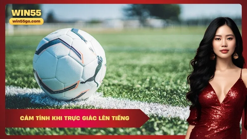 Cảm Tính Khi Trực Giác Lên Tiếng