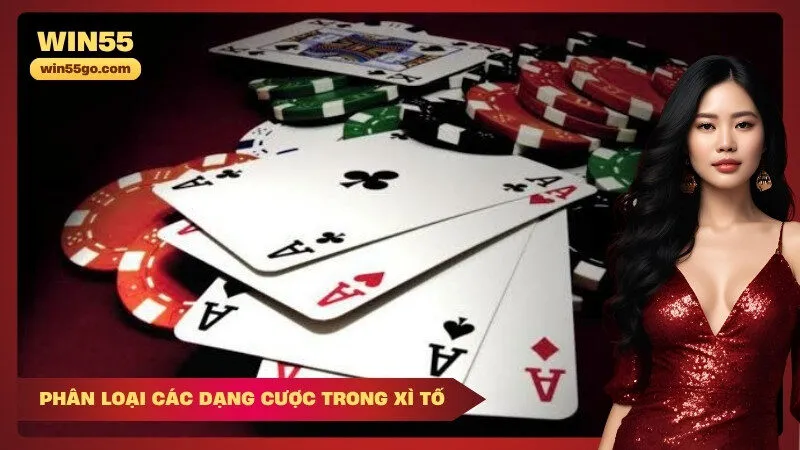 Phân Loại Các Dạng Cược Trong Xì Tố