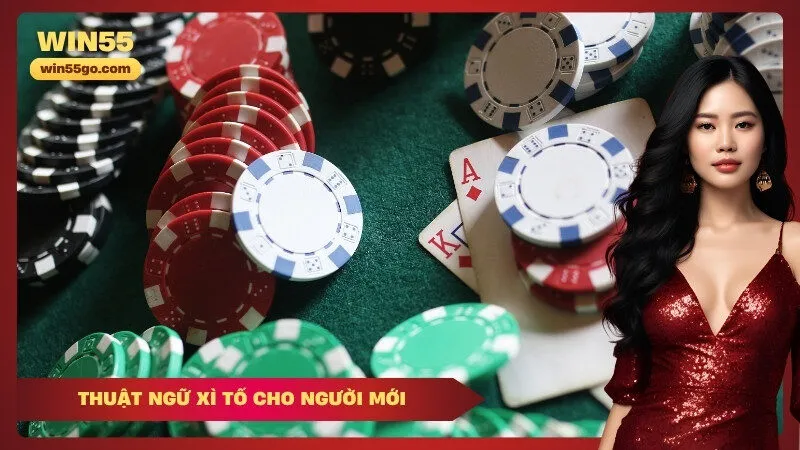 Thuật ngữ Xì tố cho người mới