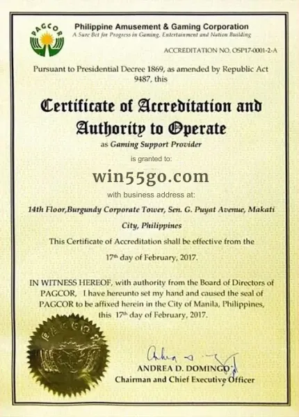 zyz.cn.com chứng nhận